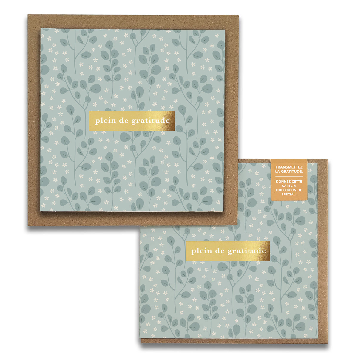 French Eucalyptus Florals "Plein de Gratitude" Cartes de Gratitude Greeting Card