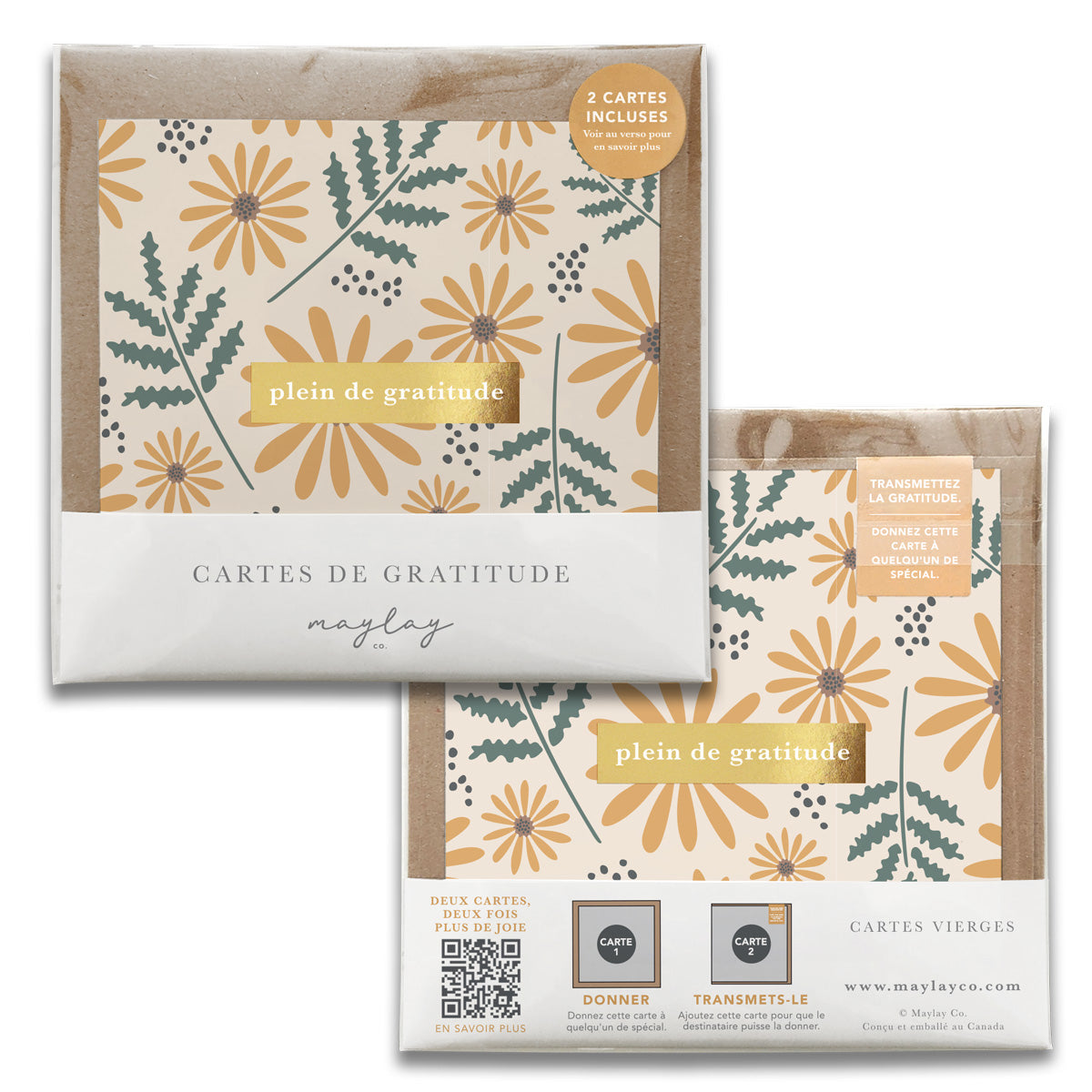 French Hello Daisy Floral Cartes de Gratitude Greeting Card in French