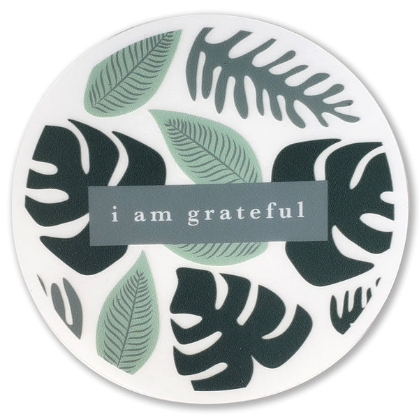 Rainforest 3" Clear Gratitude Sticker - Maylay Co.